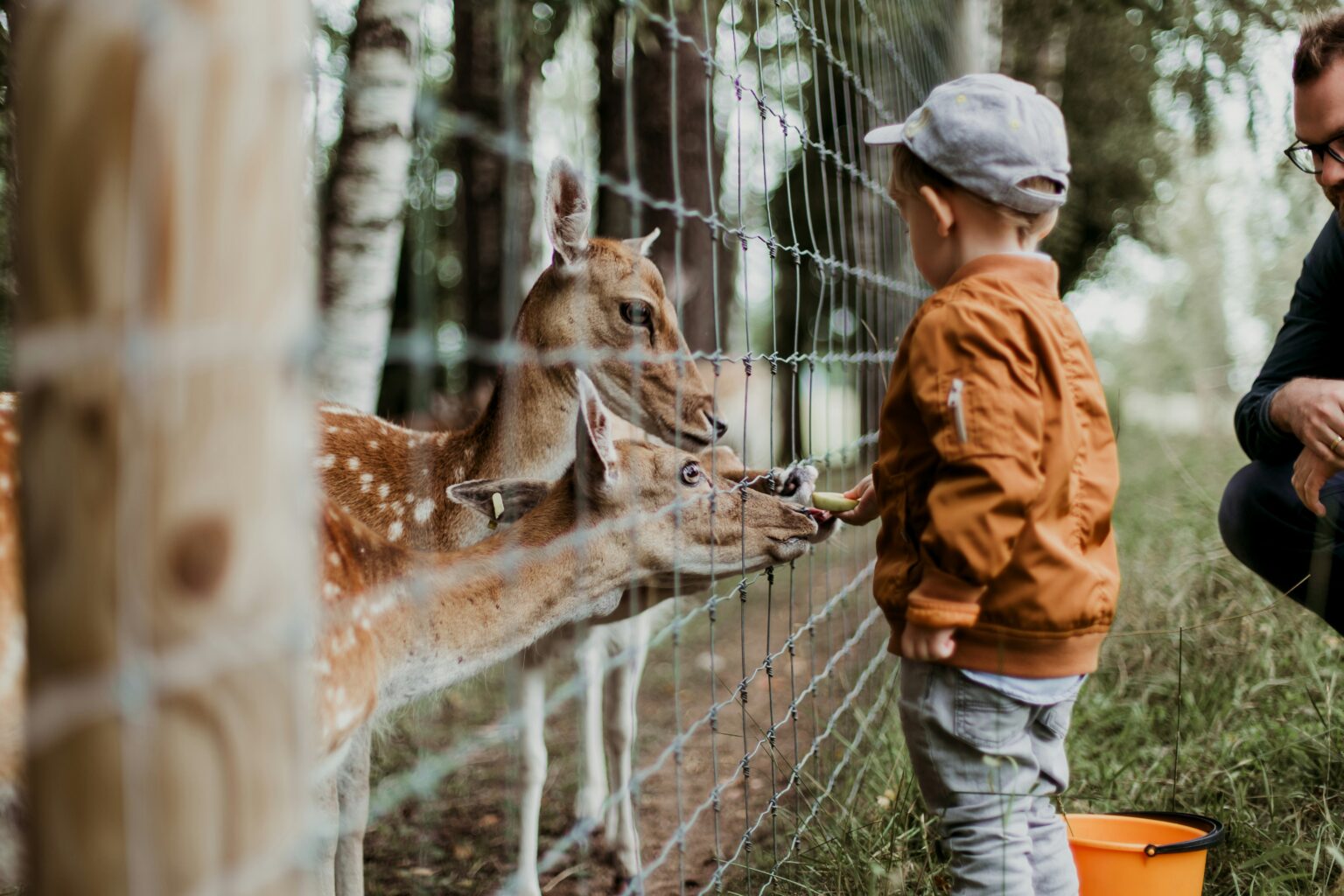 eco-friendly activities in Cuenca