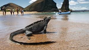 islas galápagos